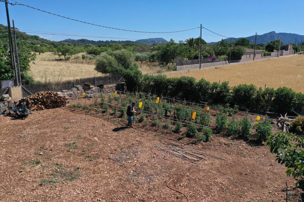 Can Seguinot Pollença Buitenkant foto